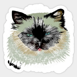 Kitten Kucing Sticker